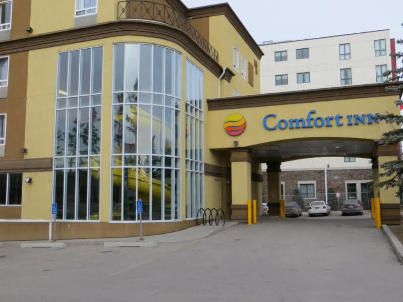 Comfort Inn & Suites University YYC Esterno foto